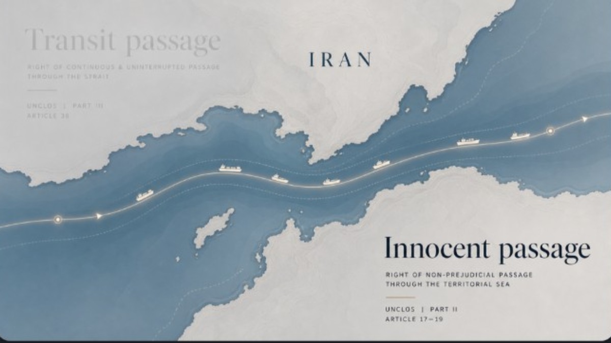 Sovereign Risk Weekly Edition 11 cover